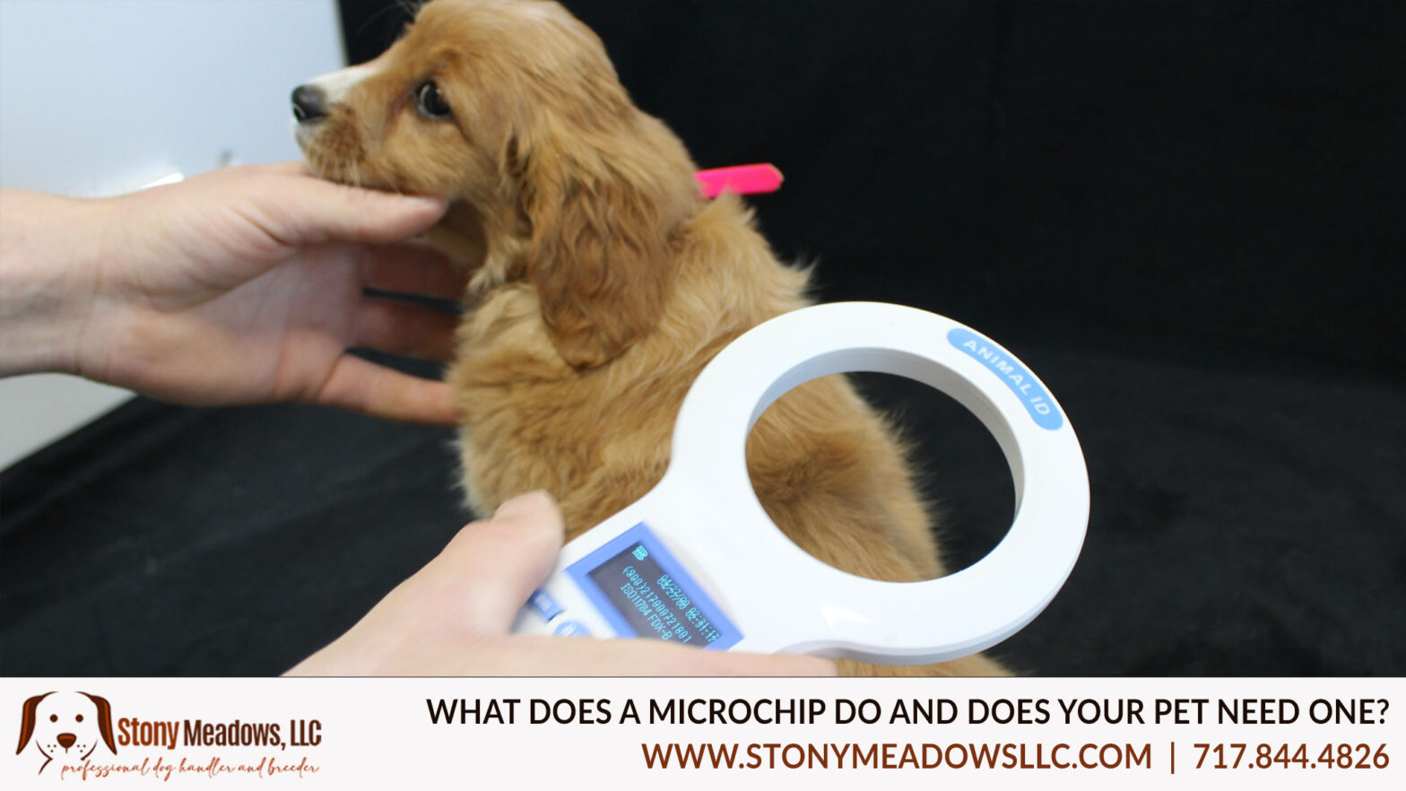 What does a microchip do?